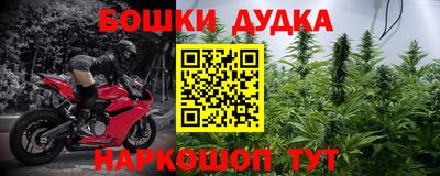 шишки Можга
