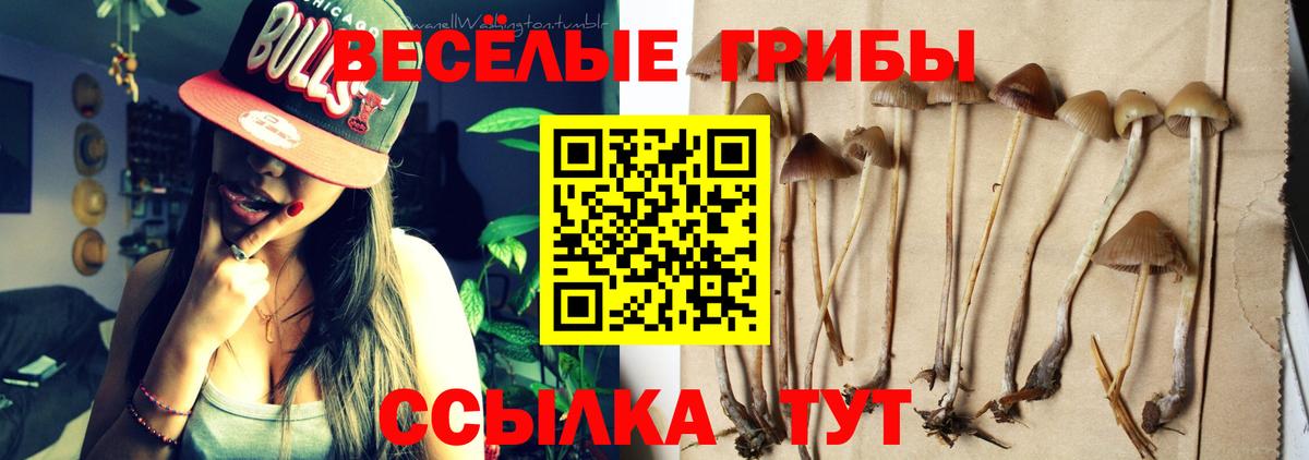 Марихуана  APVP СОЛЬ кристаллы  Кодеин  Бошки Шишки  ГАШИШ  Ухта  ГАШИШ  Вход с VPN  МЕФ  