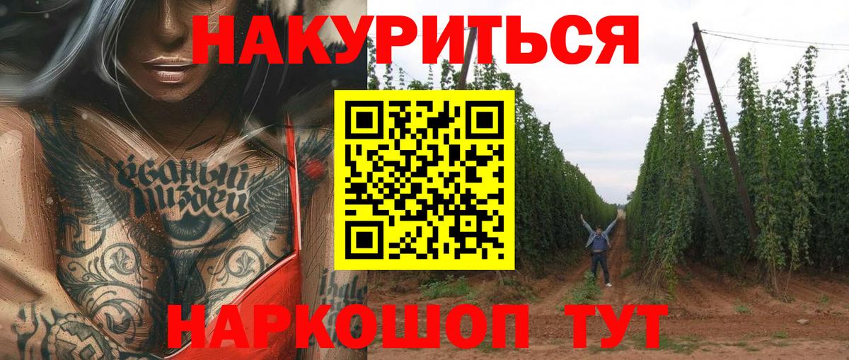 Каннабис OG Kush Ухта